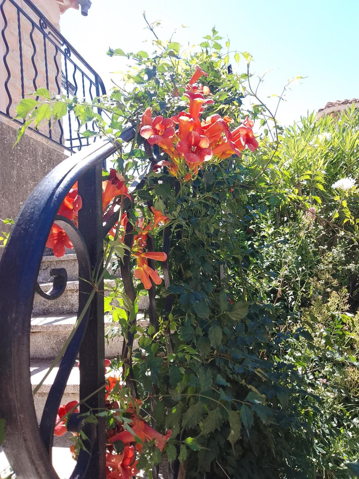 Les Gites Du Mont Ventoux Bédoin Εξωτερικό φωτογραφία