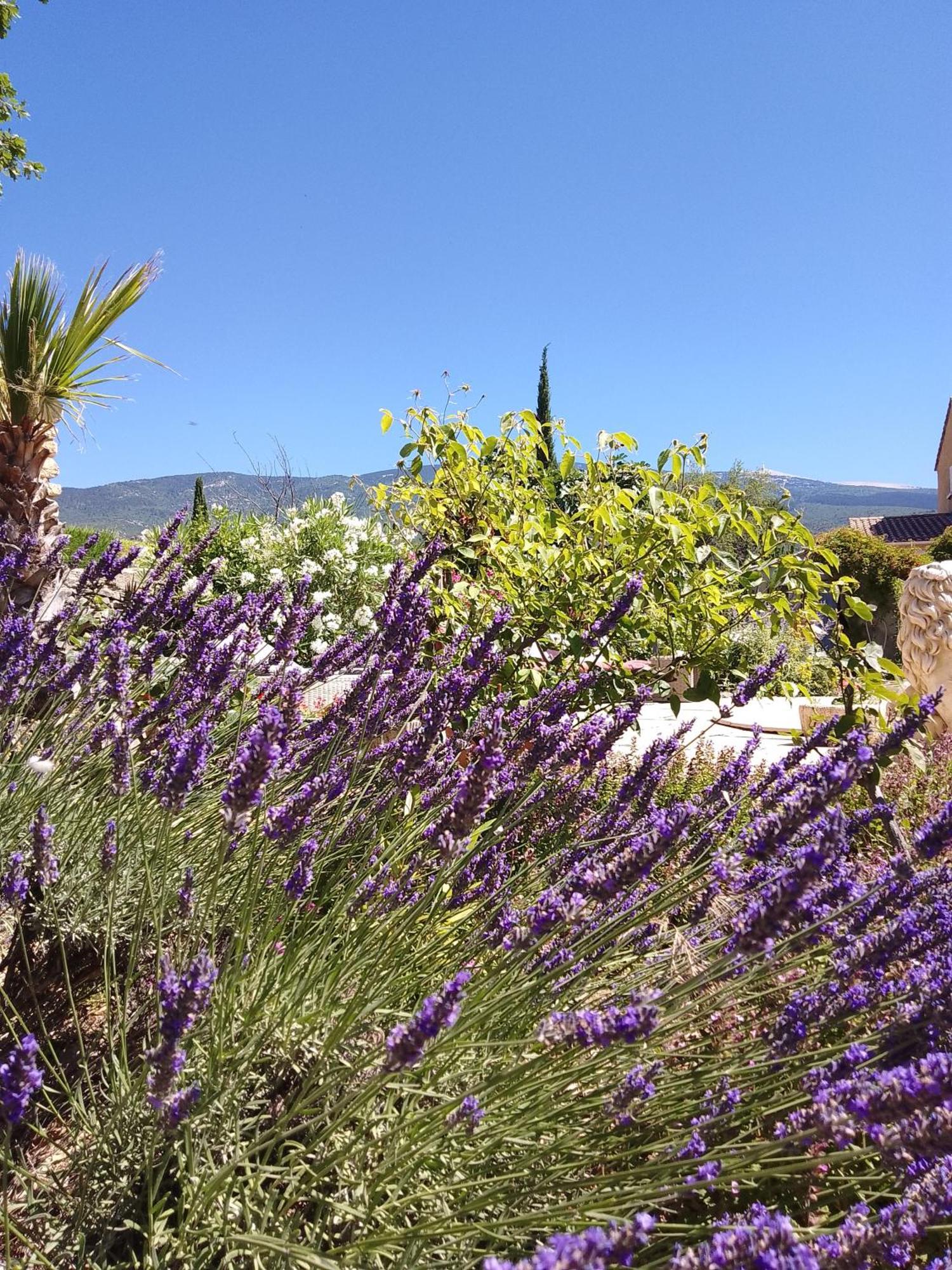Les Gites Du Mont Ventoux Bédoin Εξωτερικό φωτογραφία