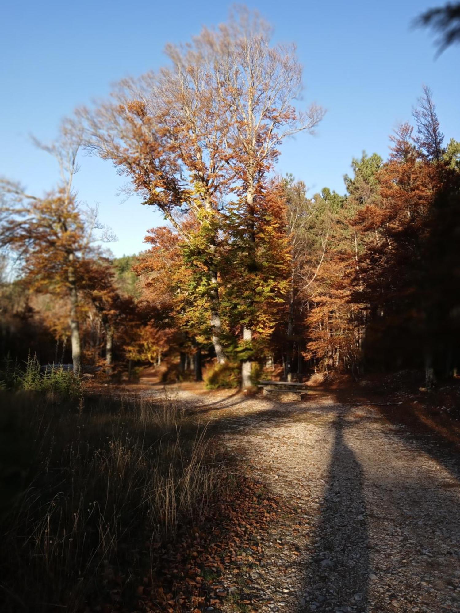 Les Gites Du Mont Ventoux Bédoin Εξωτερικό φωτογραφία