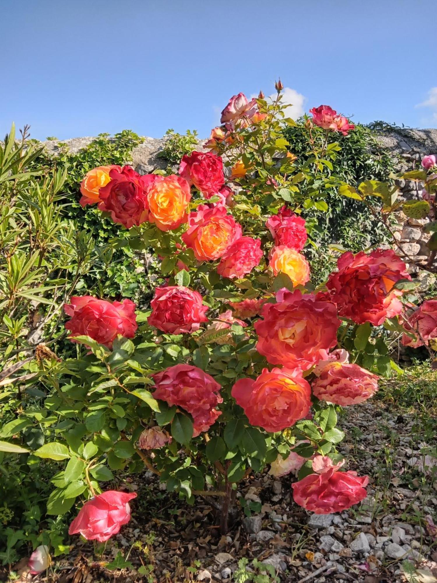 Les Gites Du Mont Ventoux Bédoin Εξωτερικό φωτογραφία